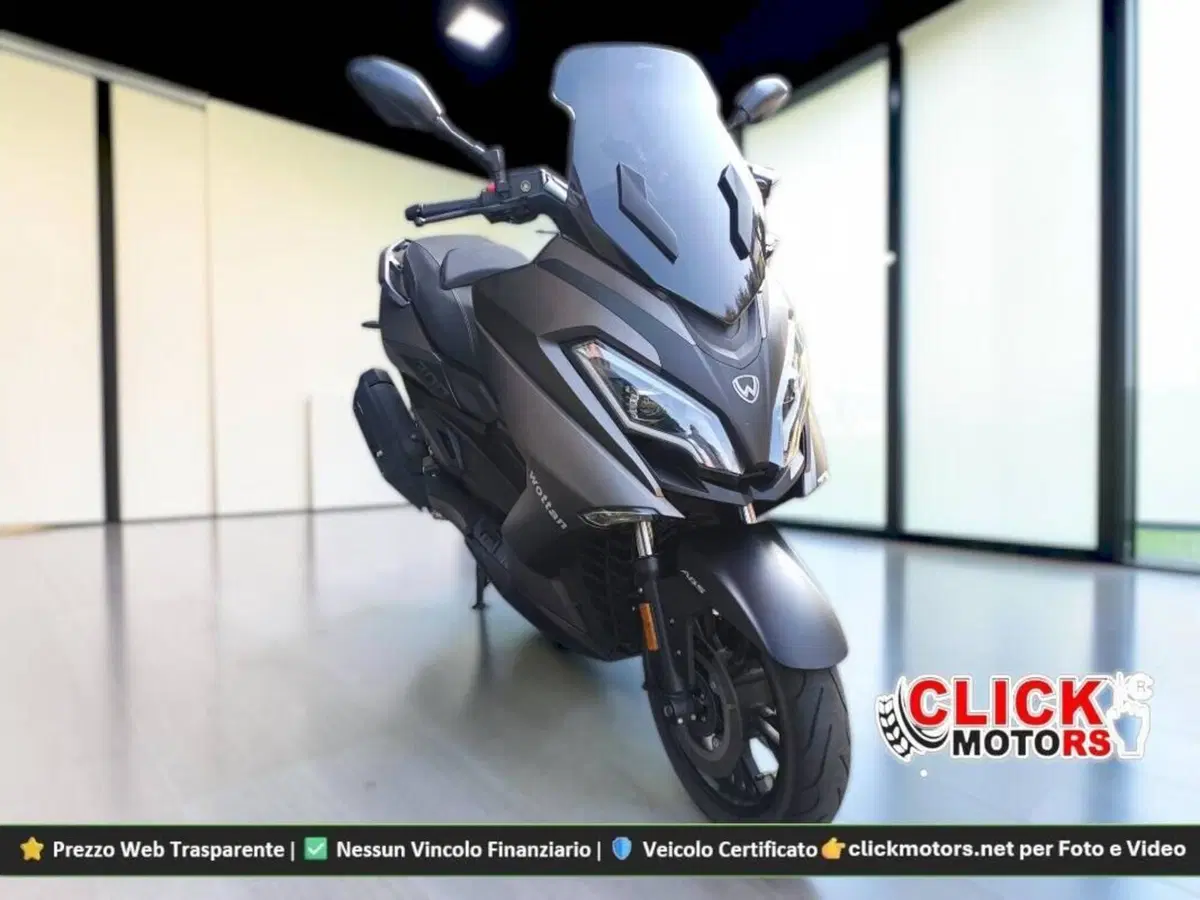 Wottan Motor Storm-R 300 (2023 - 25) (3)