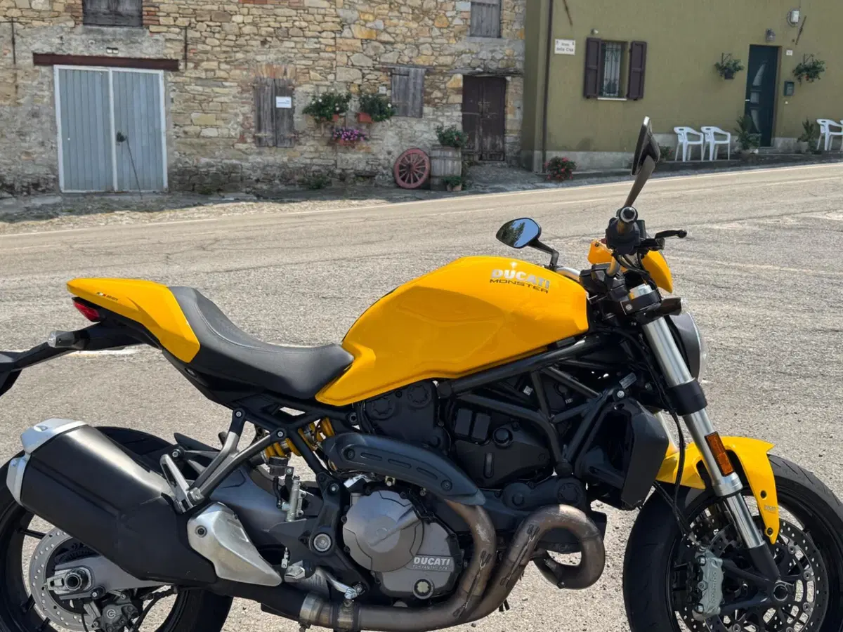 Ducati Monster 821 (2018 - 20)