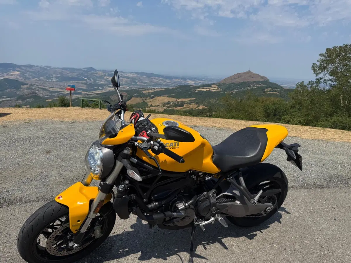 Ducati Monster 821 (2018 - 20) (2)