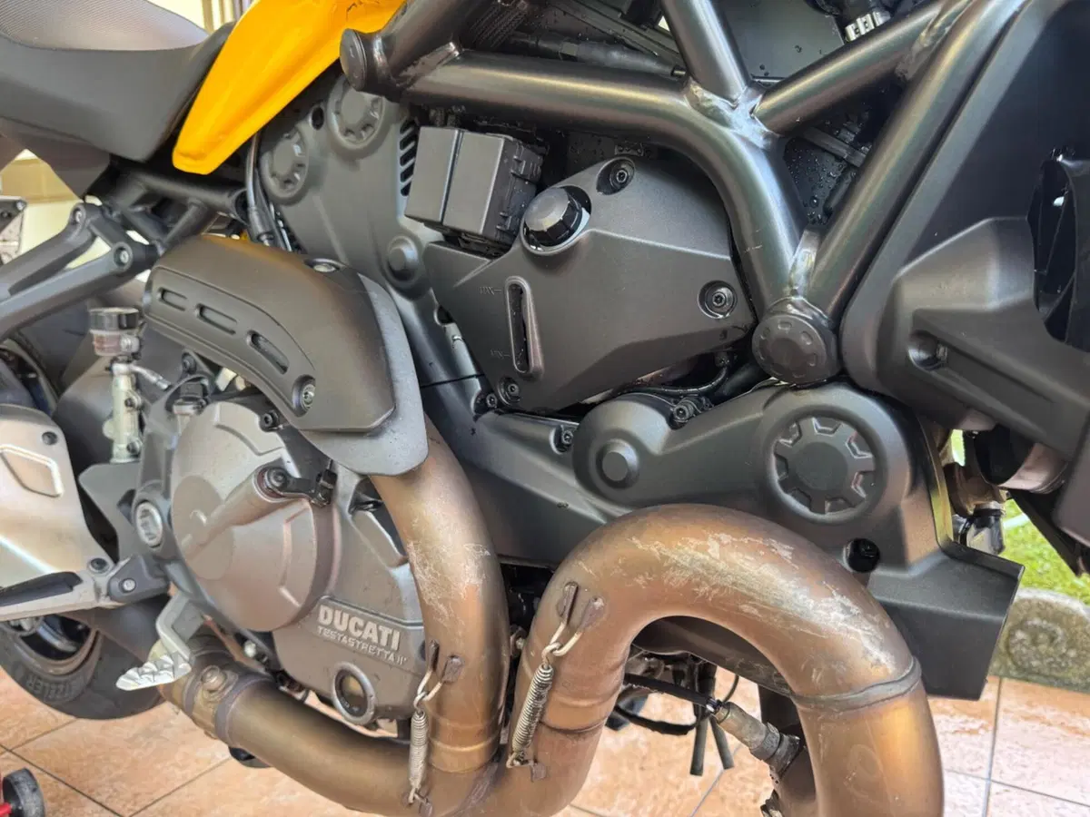 Ducati Monster 821 (2018 - 20) (6)