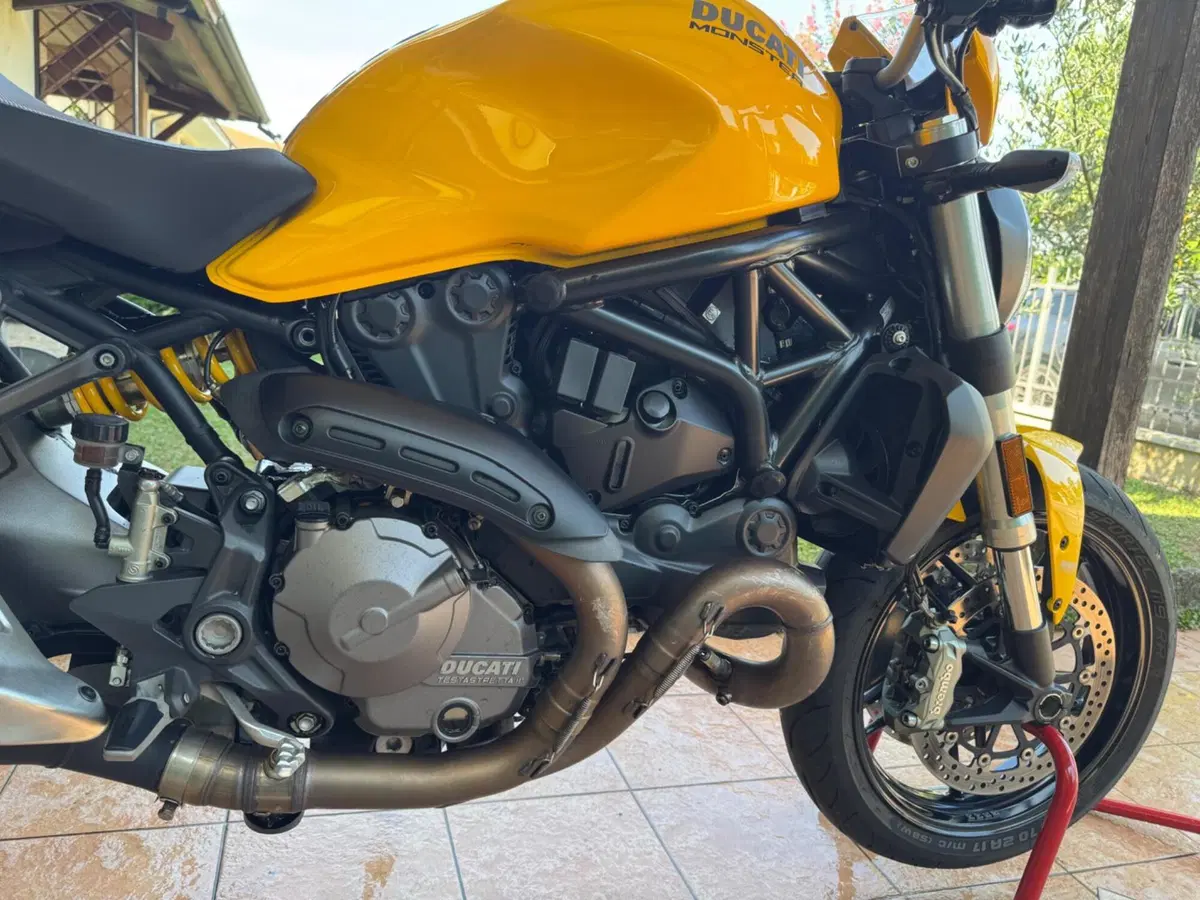Ducati Monster 821 (2018 - 20) (9)