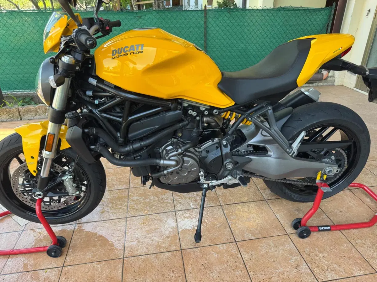 Ducati Monster 821 (2018 - 20) (10)
