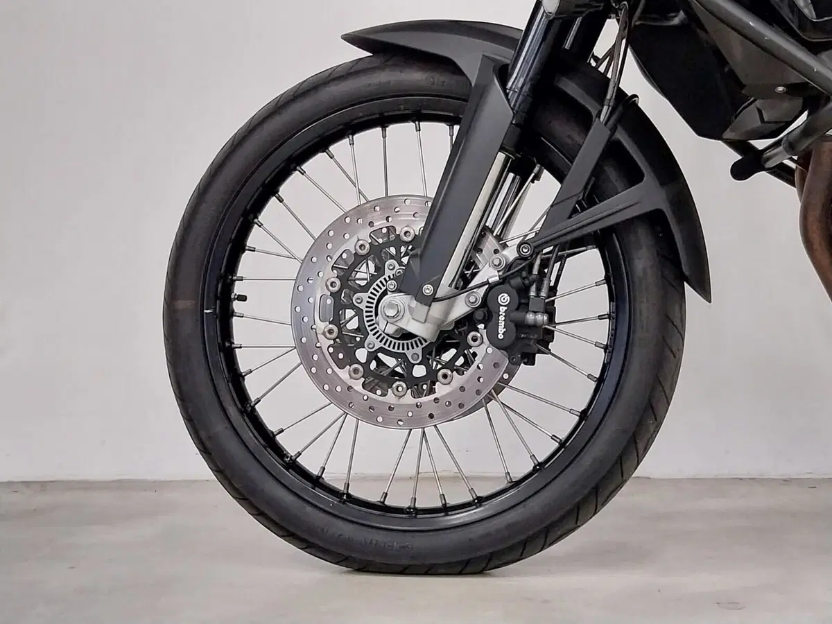 Bmw F 800 GS (2008 - 15) (18)