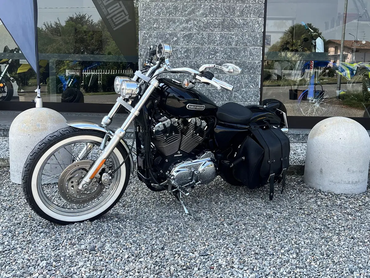 Harley-Davidson 1200 Low (2008 - 09) - XL 1200L (3)