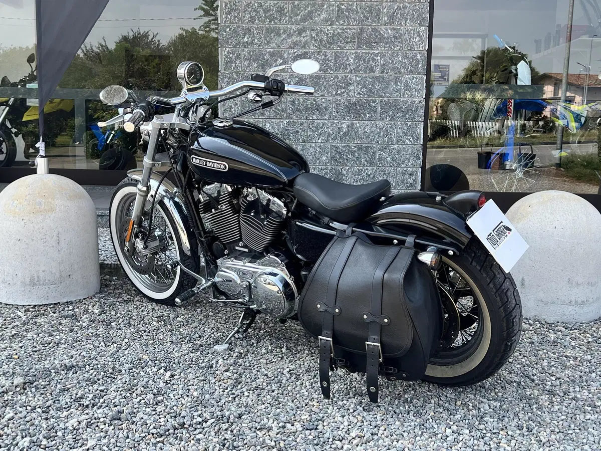 Harley-Davidson 1200 Low (2008 - 09) - XL 1200L (5)
