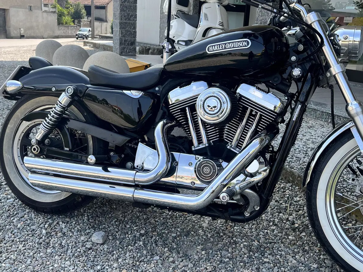 Harley-Davidson 1200 Low (2008 - 09) - XL 1200L (7)