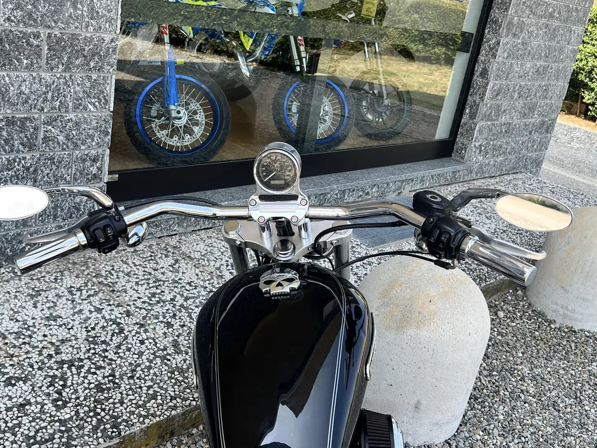Harley-Davidson 1200 Low (2008 - 09) - XL 1200L (8)