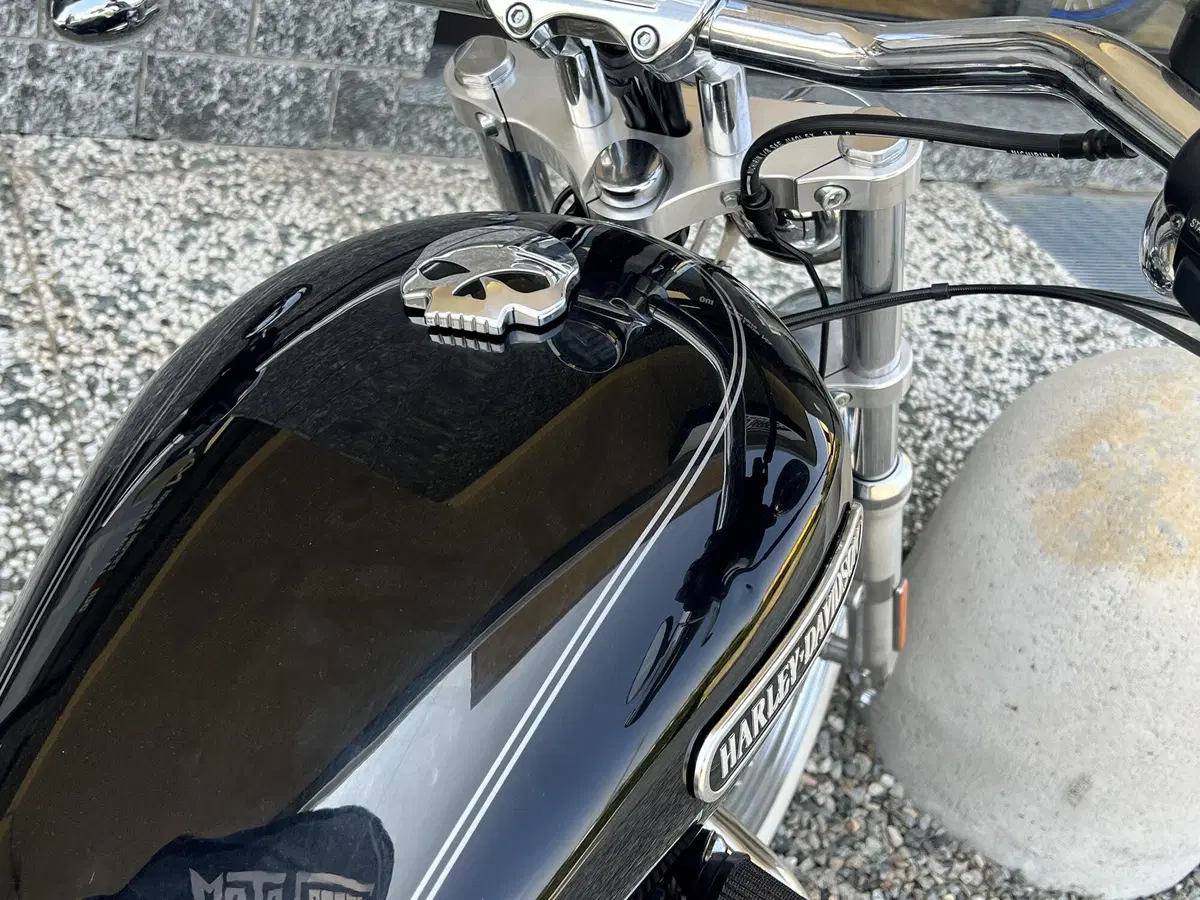 Harley-Davidson 1200 Low (2008 - 09) - XL 1200L (9)