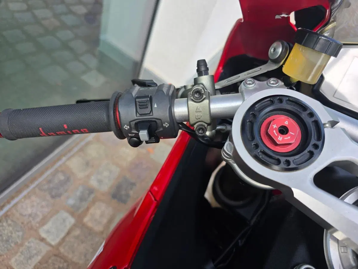 Ducati 1199 Panigale ABS (2013 - 14) (5)