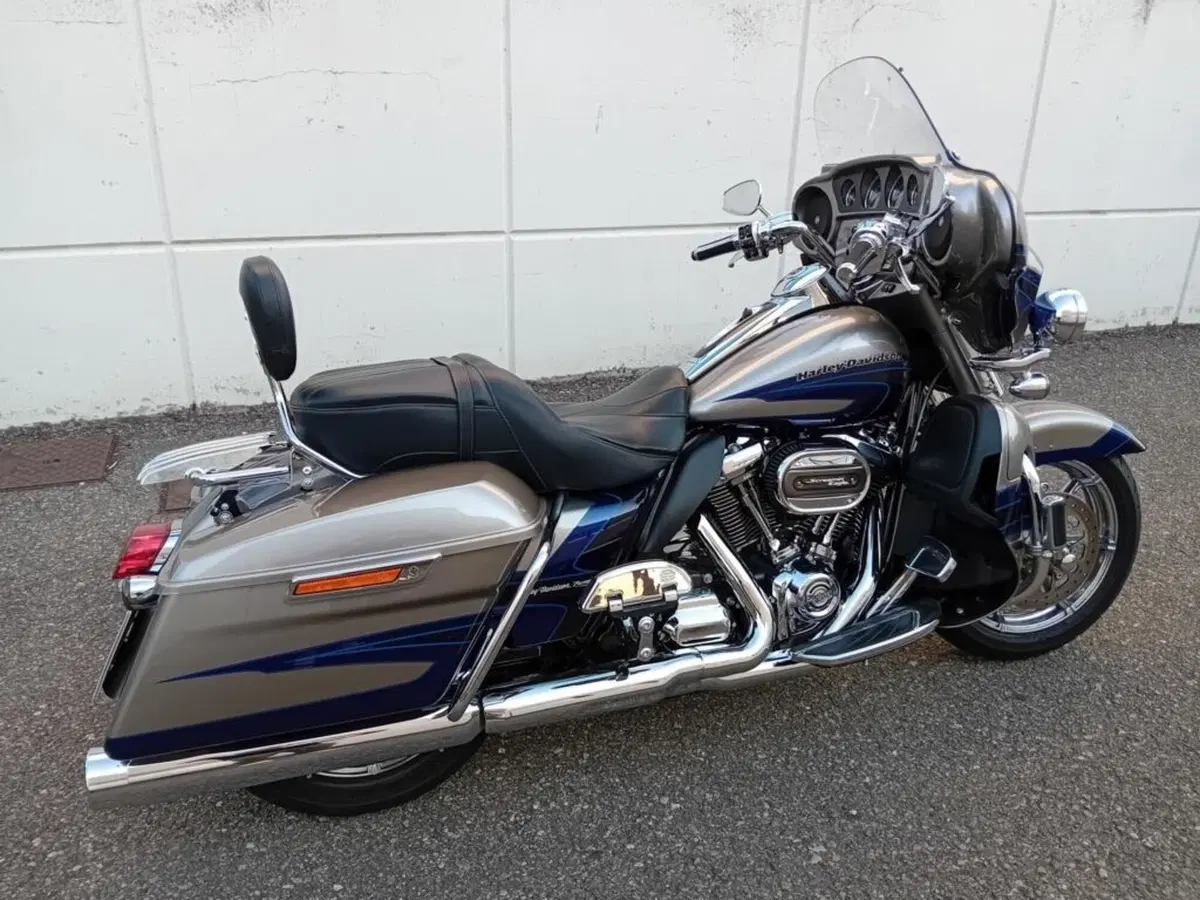 Harley-Davidson 114 Limited (2017) (4)