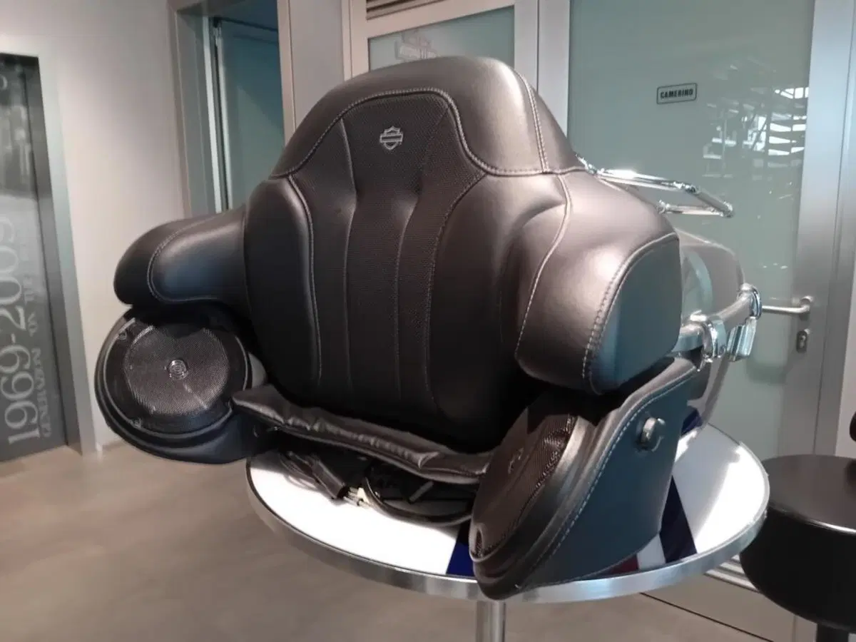 Harley-Davidson 114 Limited (2017) (7)
