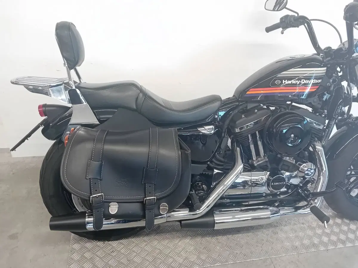 Harley-Davidson 1200 Forty-Eight Special (2018 - 20) (6)