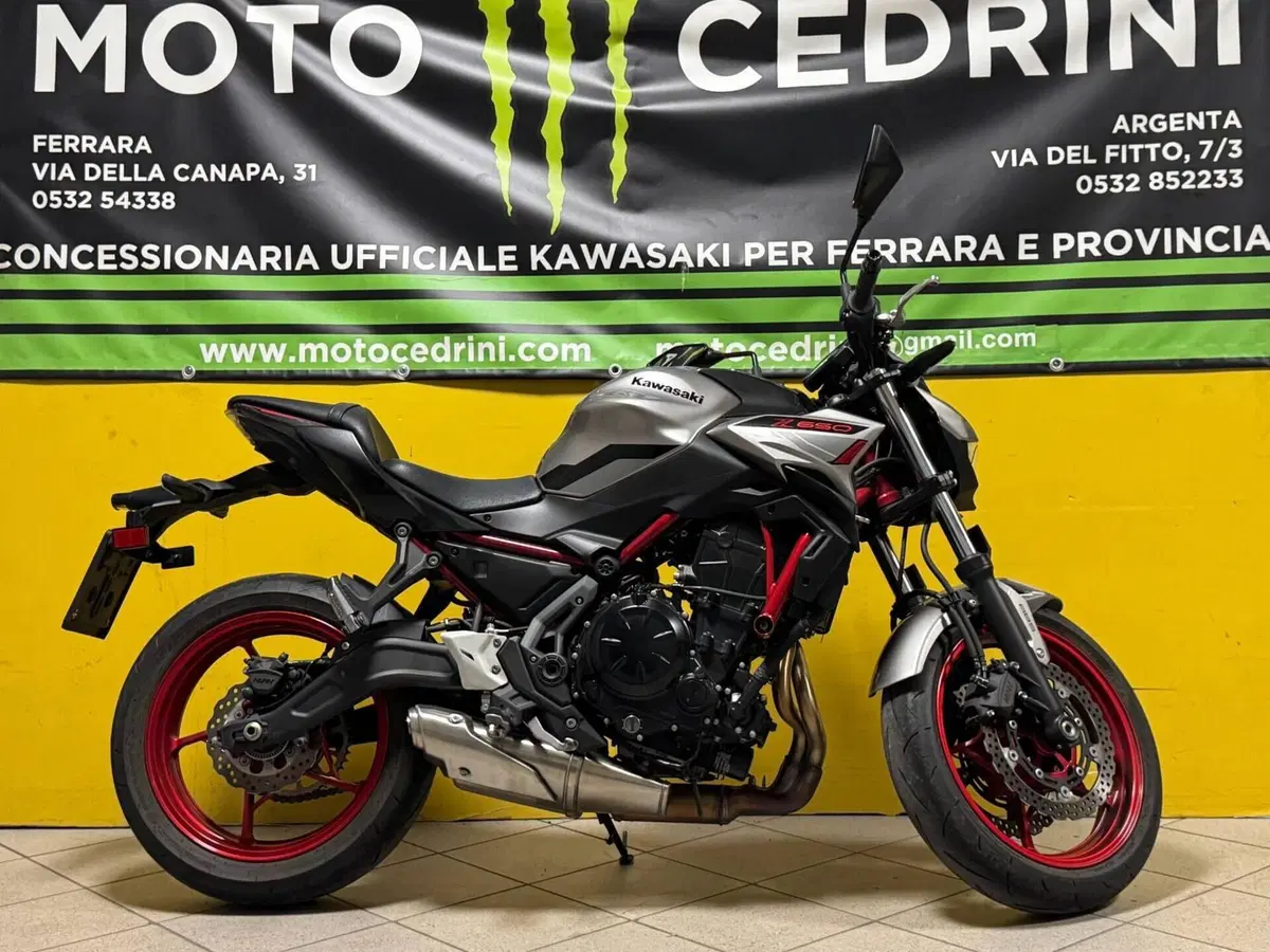 Kawasaki Z 650 (2021 - 24) (3)