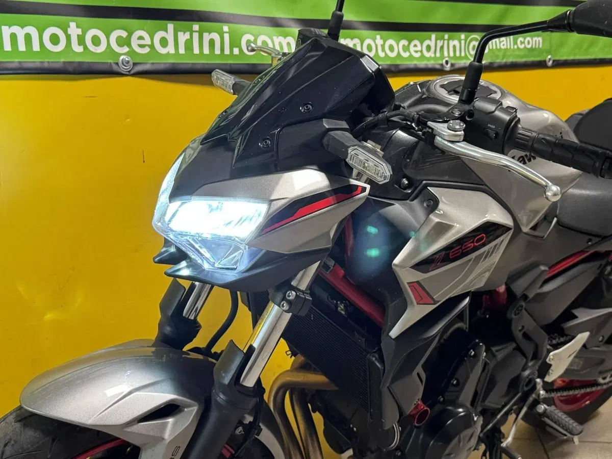Kawasaki Z 650 (2021 - 24) (6)