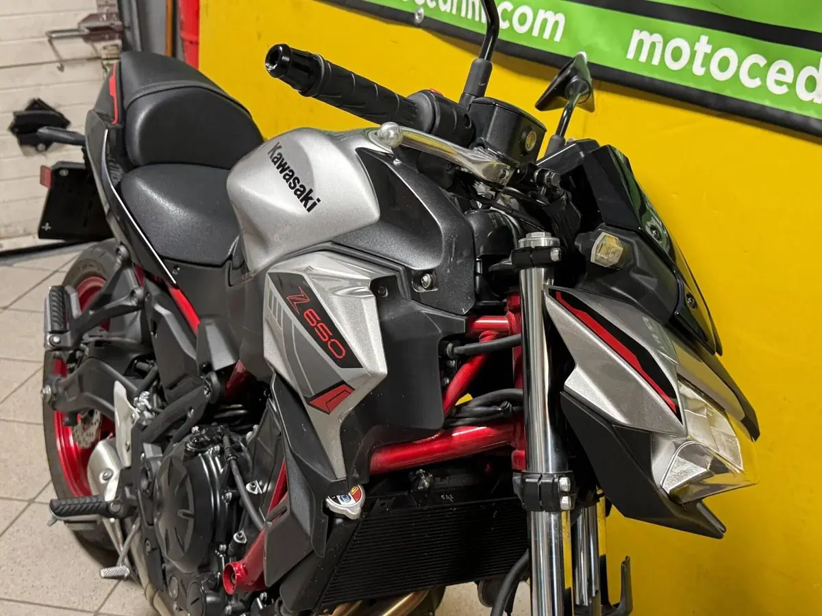 Kawasaki Z 650 (2021 - 24) (7)