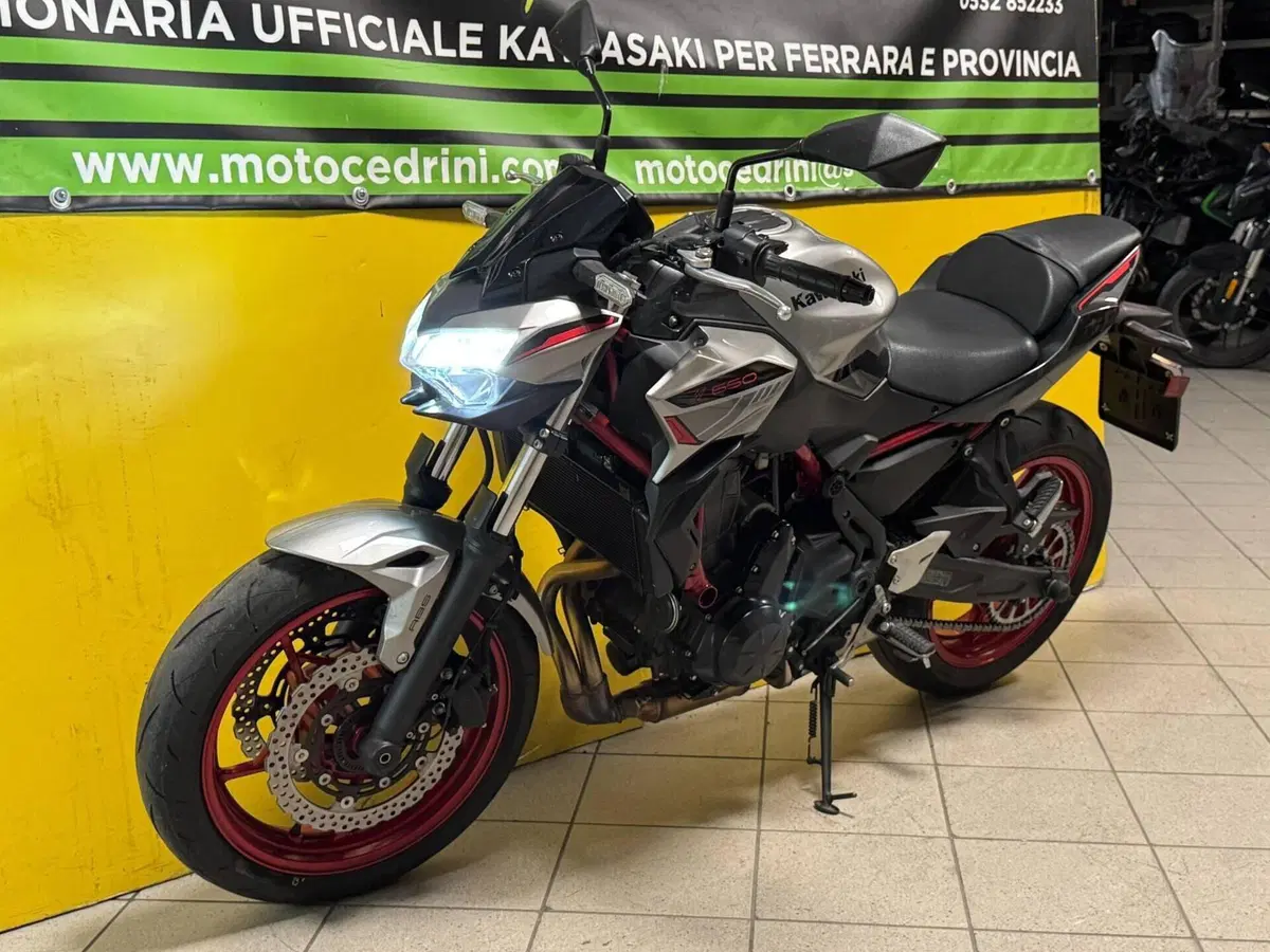 Kawasaki Z 650 (2021 - 24) (9)