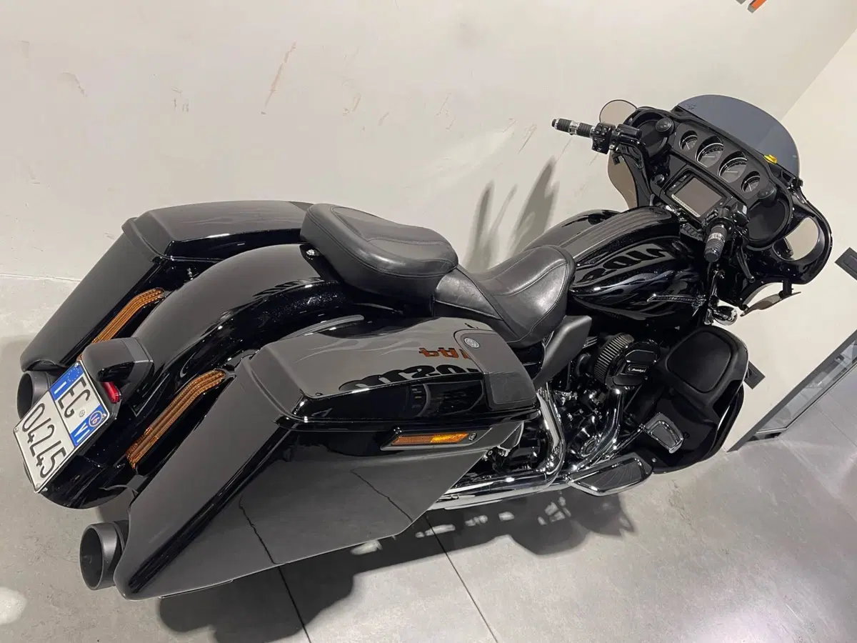 Harley-Davidson 110 Street Glide (2016) - FLHXSE (3)