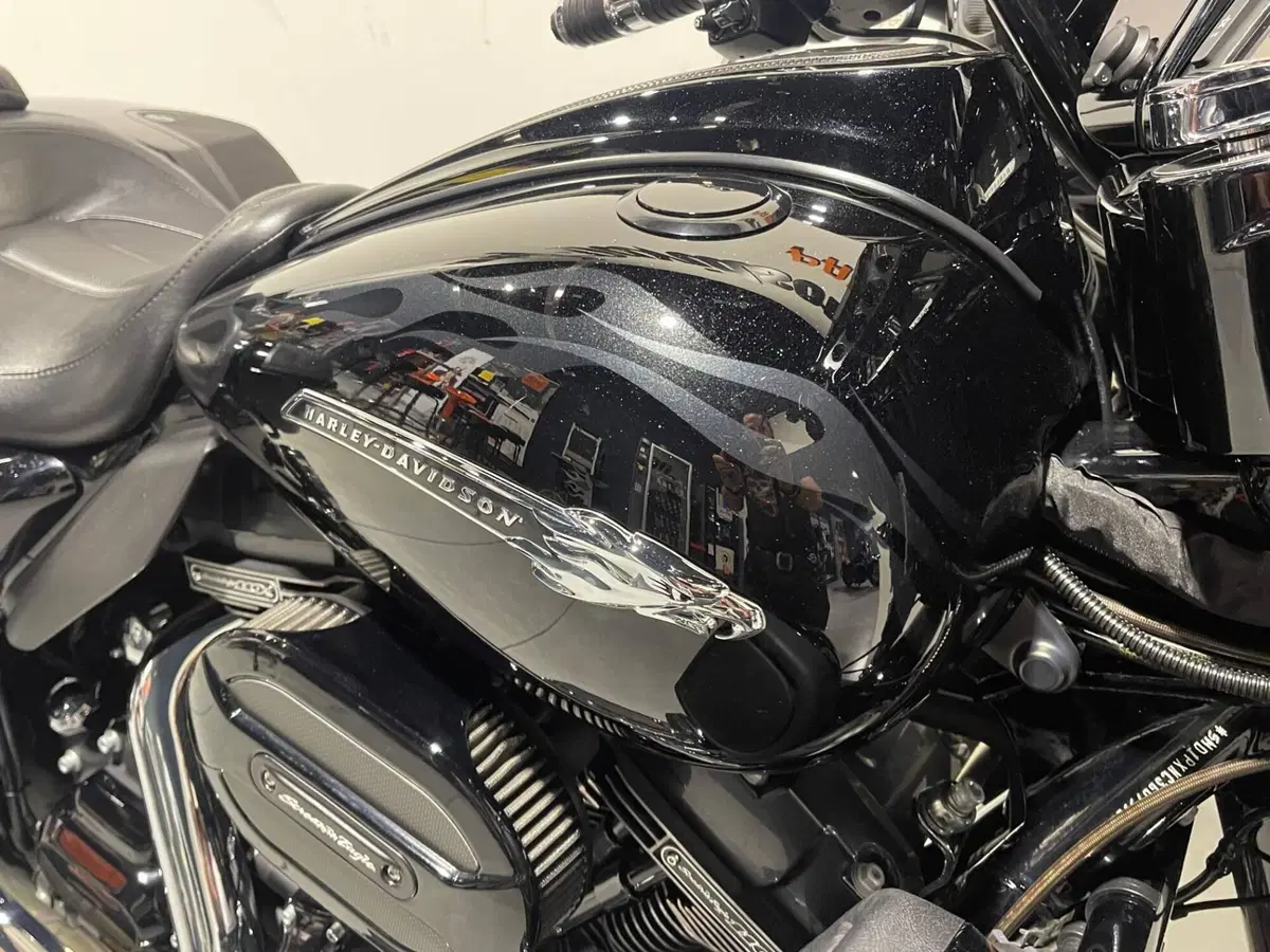 Harley-Davidson 110 Street Glide (2016) - FLHXSE (4)