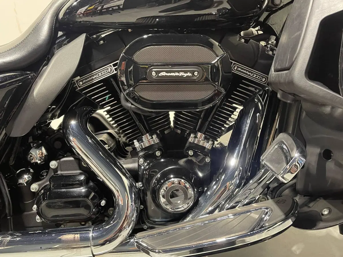 Harley-Davidson 110 Street Glide (2016) - FLHXSE (5)