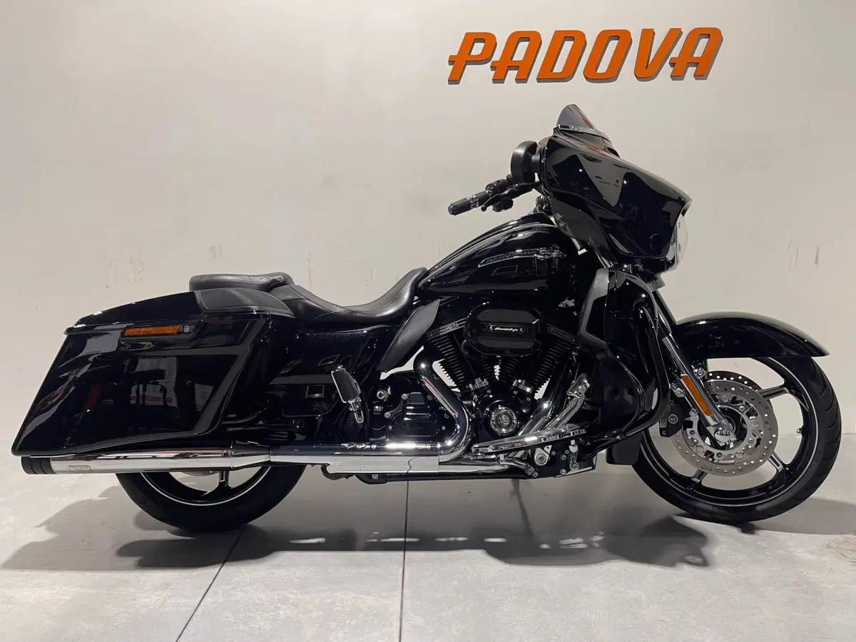 Harley-Davidson 110 Street Glide (2016) - FLHXSE (12)