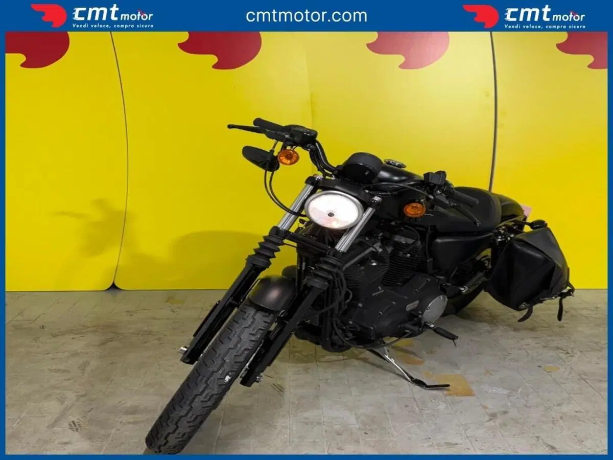 Harley-Davidson 883 Iron (2009 - 11) - XL 883N (2)