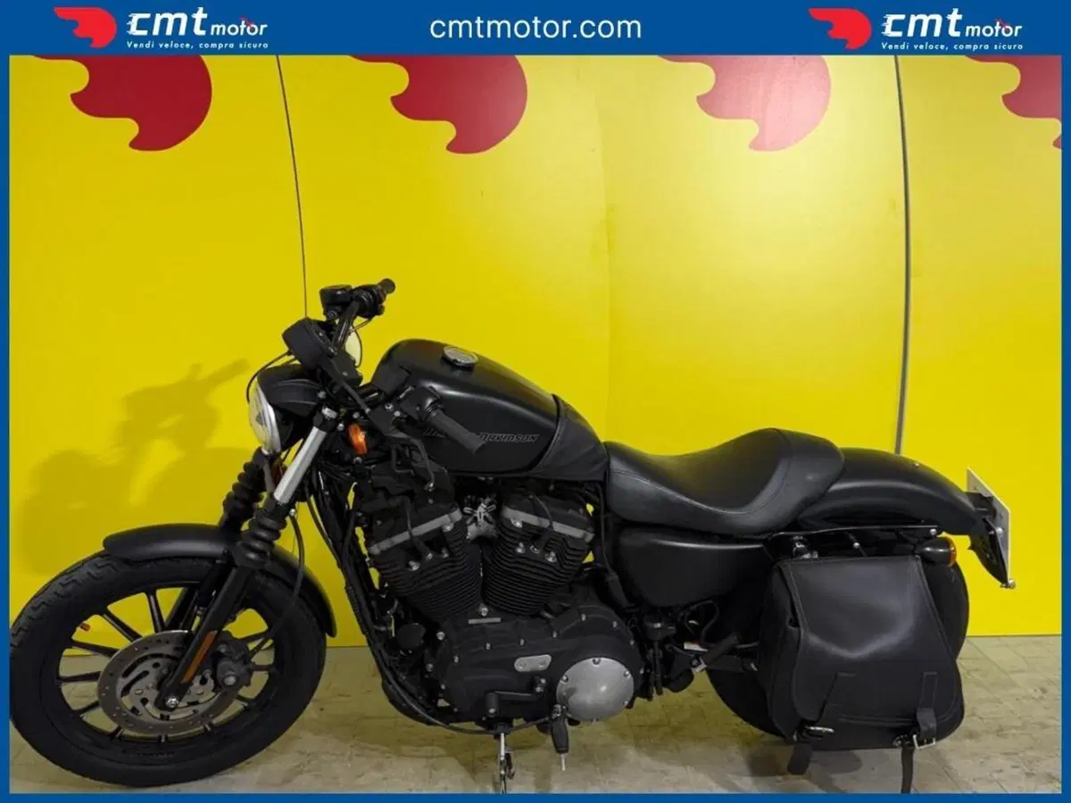 Harley-Davidson 883 Iron (2009 - 11) - XL 883N (4)