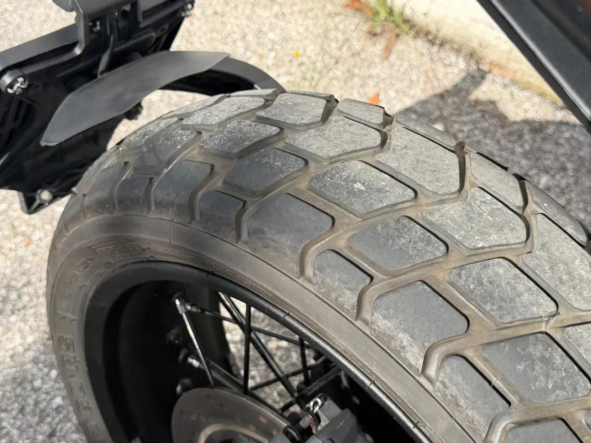 Ducati Scrambler 800 Nightshift (2023 - 24) (6)