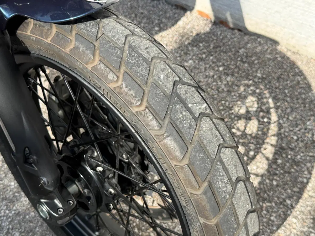 Ducati Scrambler 800 Nightshift (2023 - 24) (7)