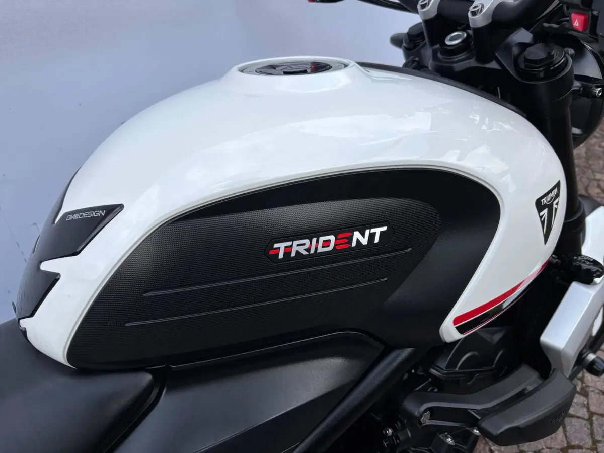 Triumph Trident 660 (2021 - 24) (5)