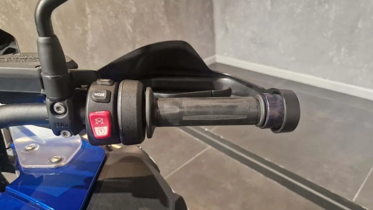 Bmw R 1250 GS Adventure (2019 - 20) (7)