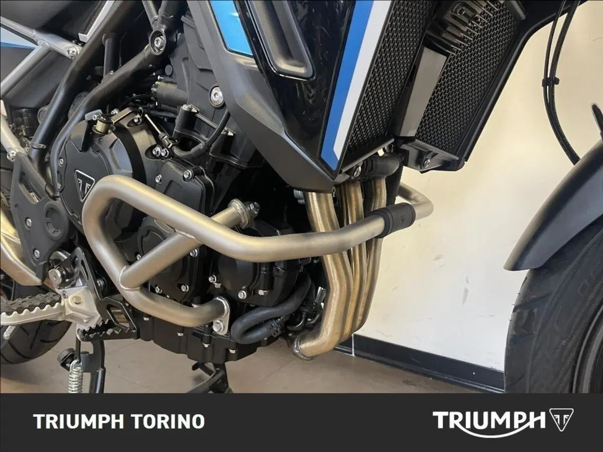 Triumph Tiger 900 Alpine Special Edition (2026) (3)