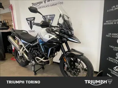 Triumph Tiger 900 Alpine Special Edition (2026) usata