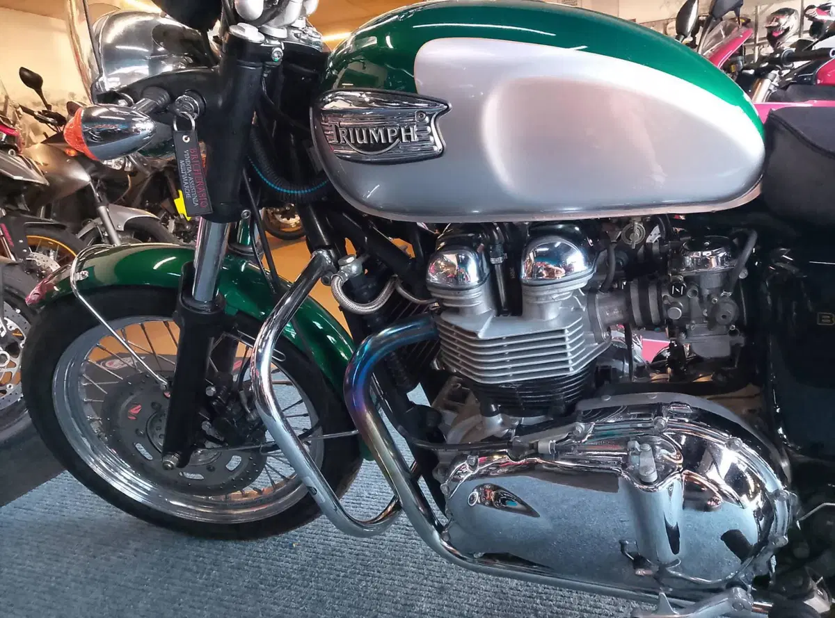 Triumph Bonneville 800 (2000 - 01) (9)