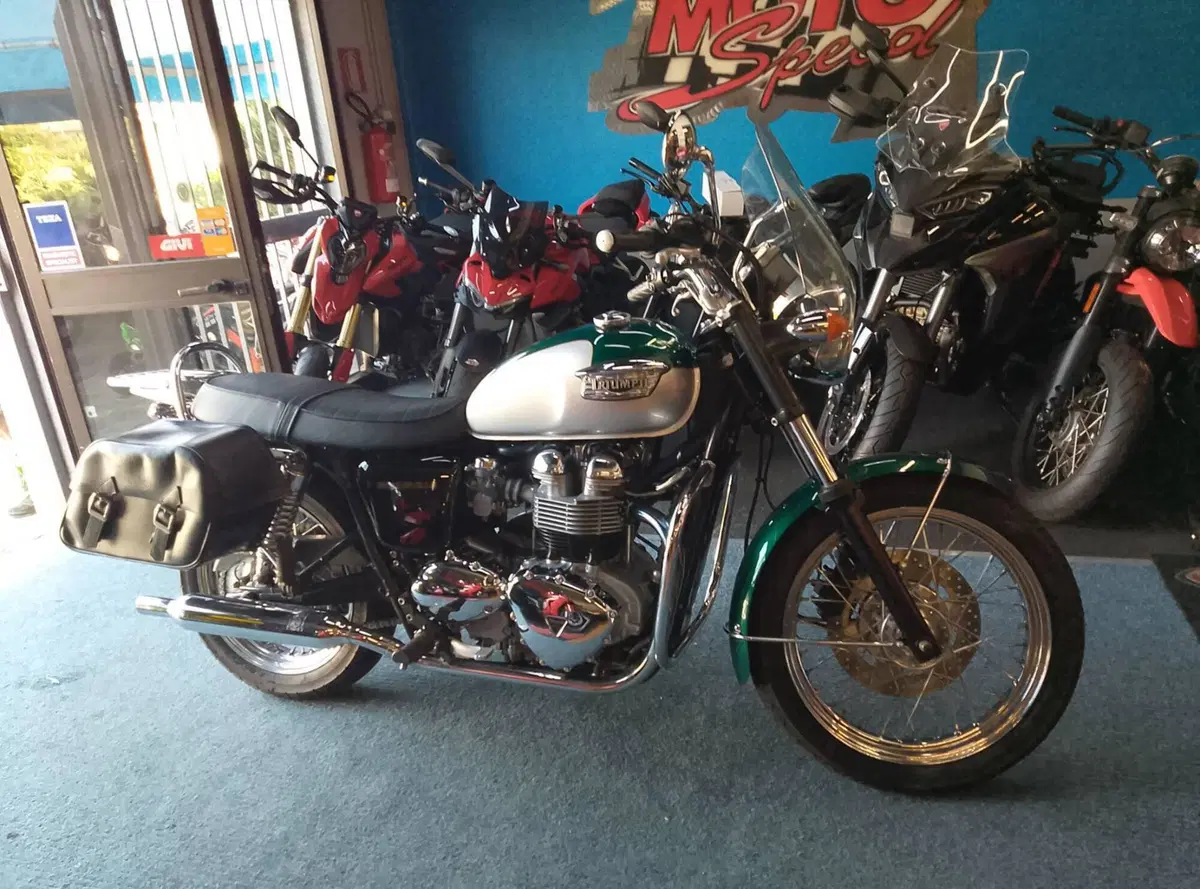 Triumph Bonneville 800 (2000 - 01) (6)
