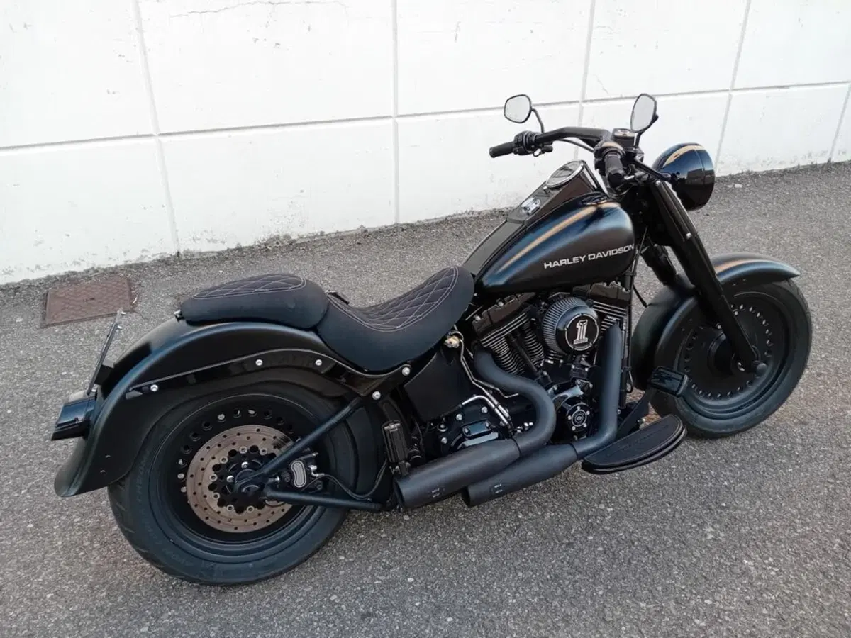 Harley-Davidson 1584 Fat Boy (2008 - 10) - FLSTF (4)