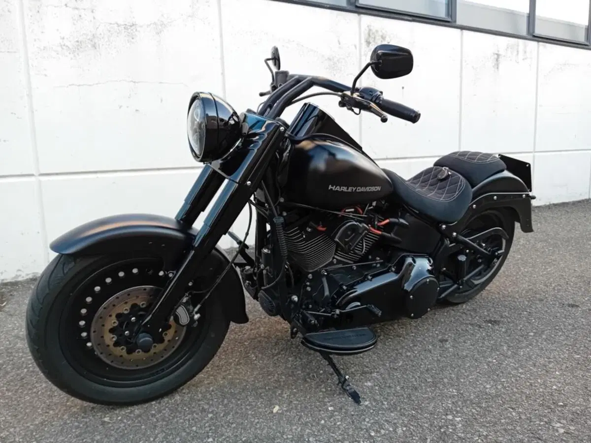 Harley-Davidson 1584 Fat Boy (2008 - 10) - FLSTF (3)