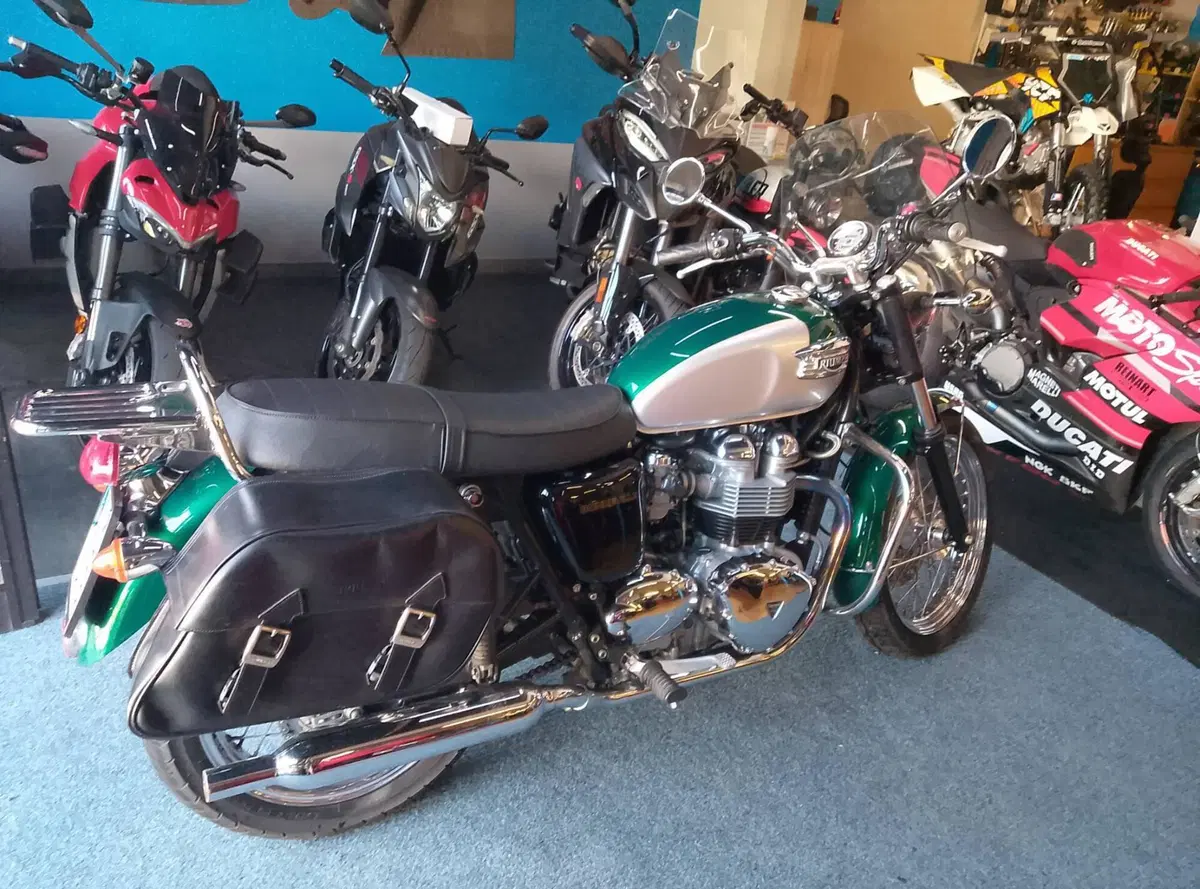 Triumph Bonneville 800 (2000 - 01) (7)