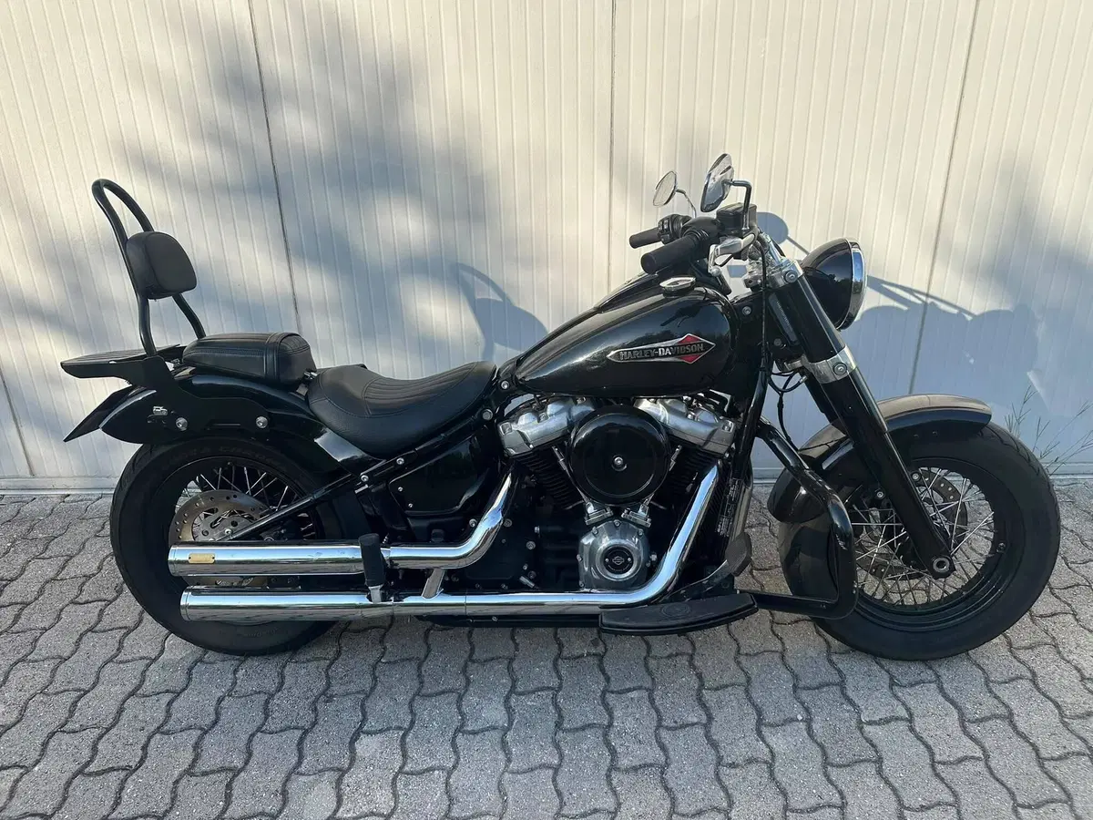Harley-Davidson 107 Slim (2018 - 20) - FLSL (3)