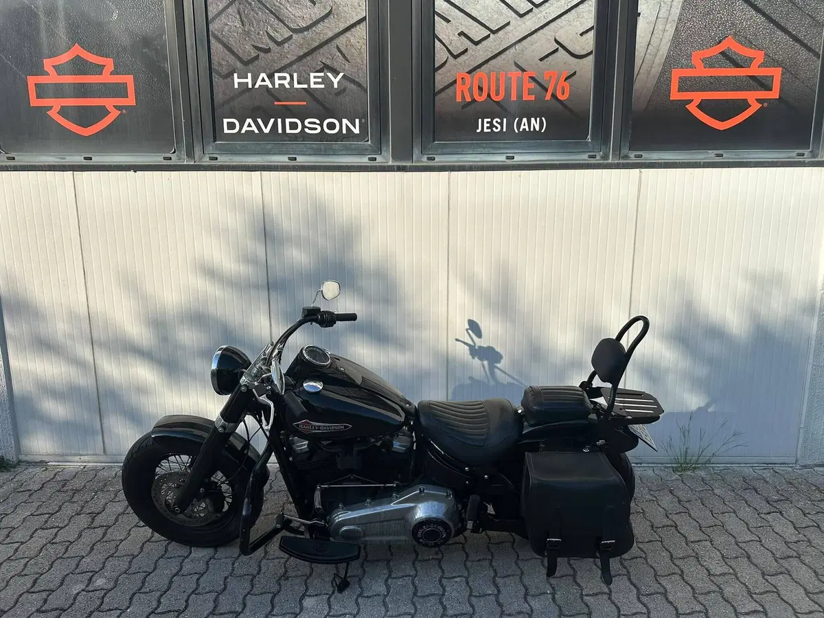 Harley-Davidson 107 Slim (2018 - 20) - FLSL (7)