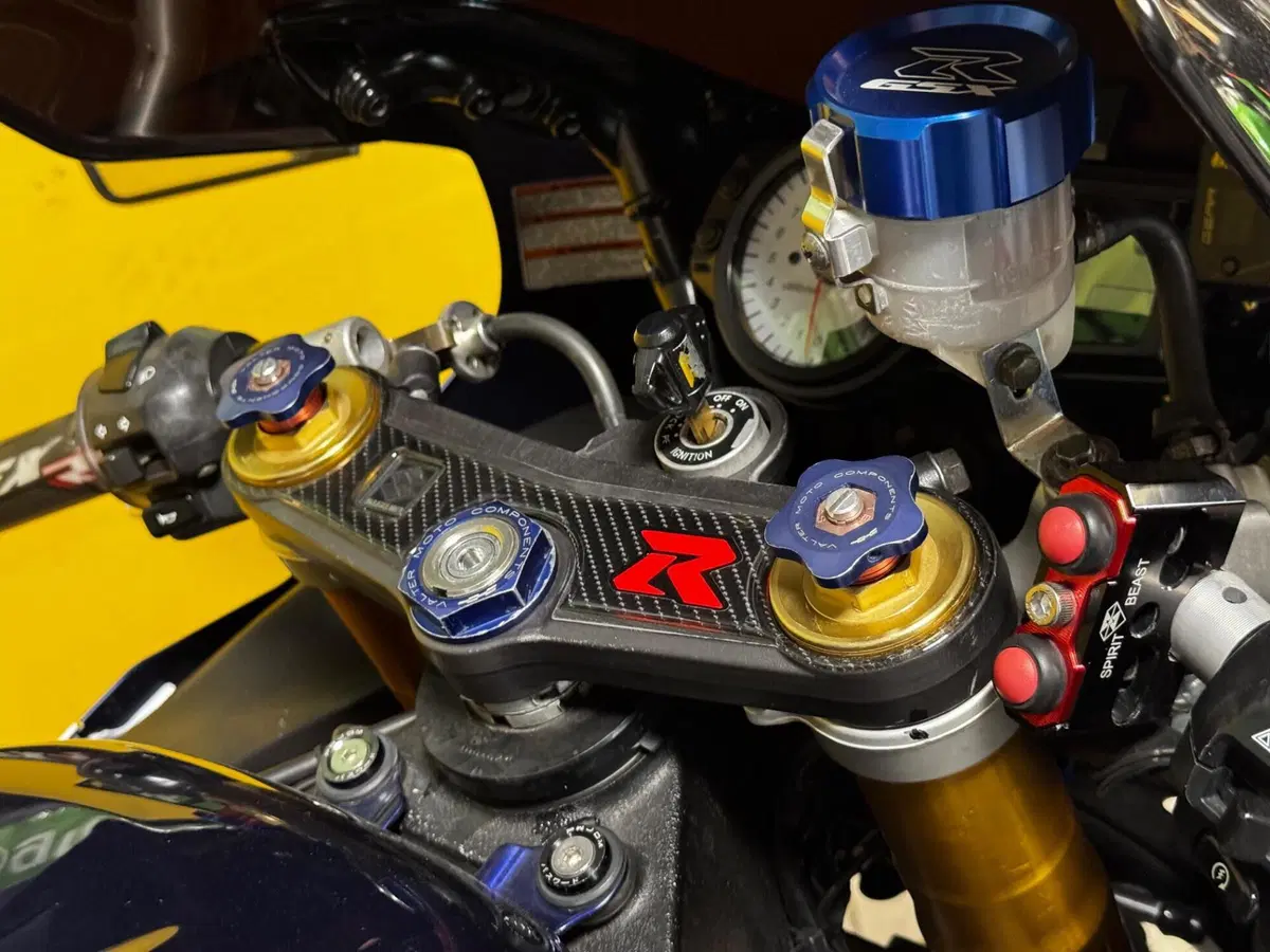 Suzuki GSX-R1000 (2003 - 04) (10)
