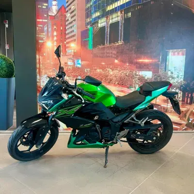 Kawasaki Z 300 ABS (2015 - 16) usata