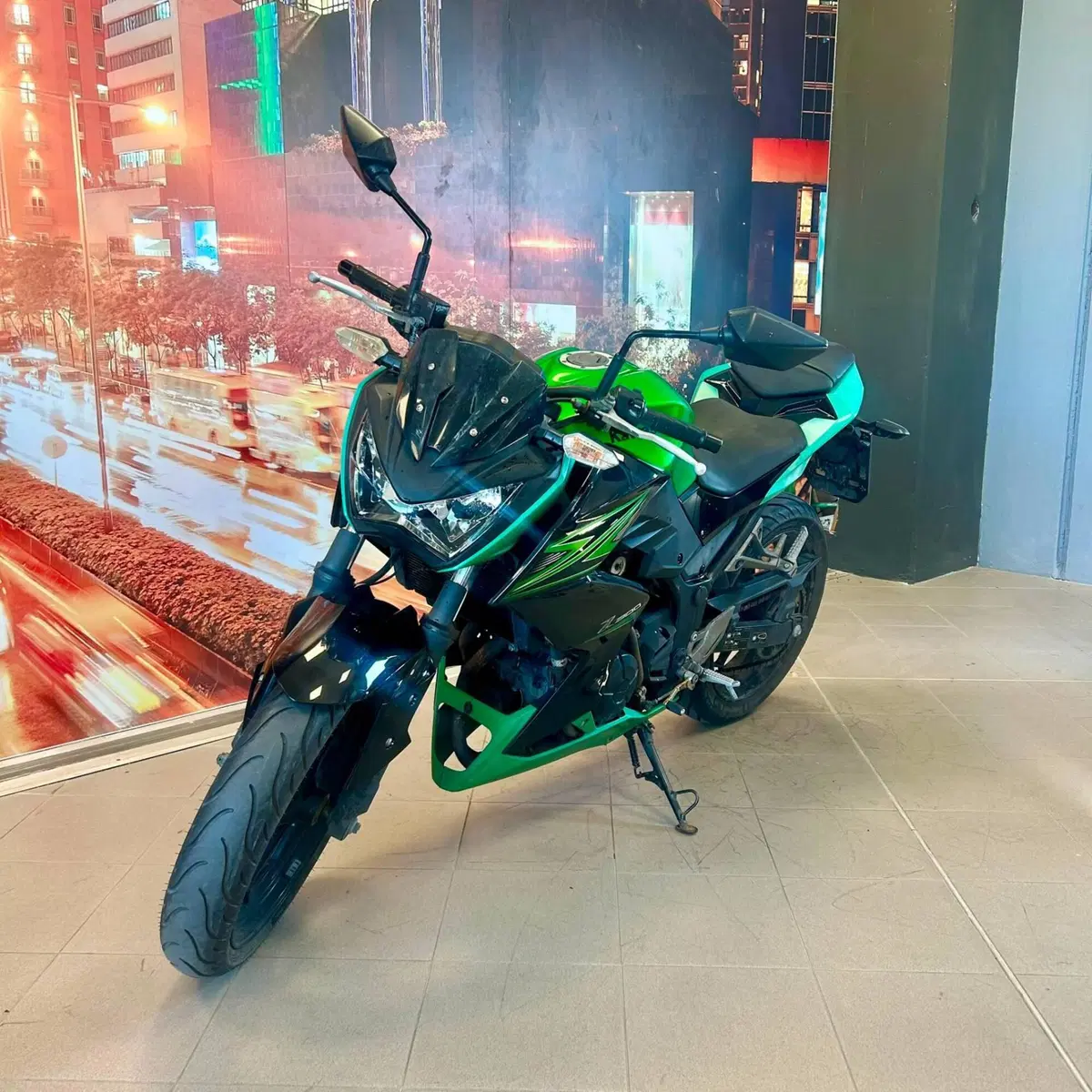 Kawasaki Z 300 ABS (2015 - 16) (2)