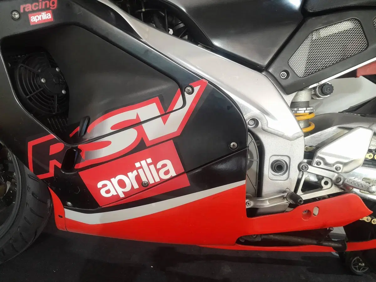 Aprilia RSV 1000 (2000 - 01) (5)