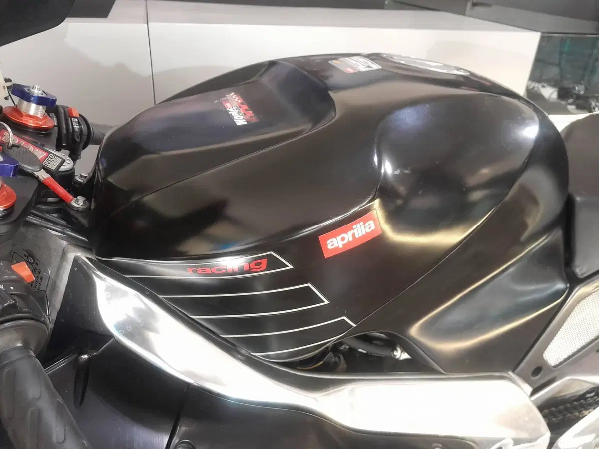Aprilia RSV 1000 (2000 - 01) (8)