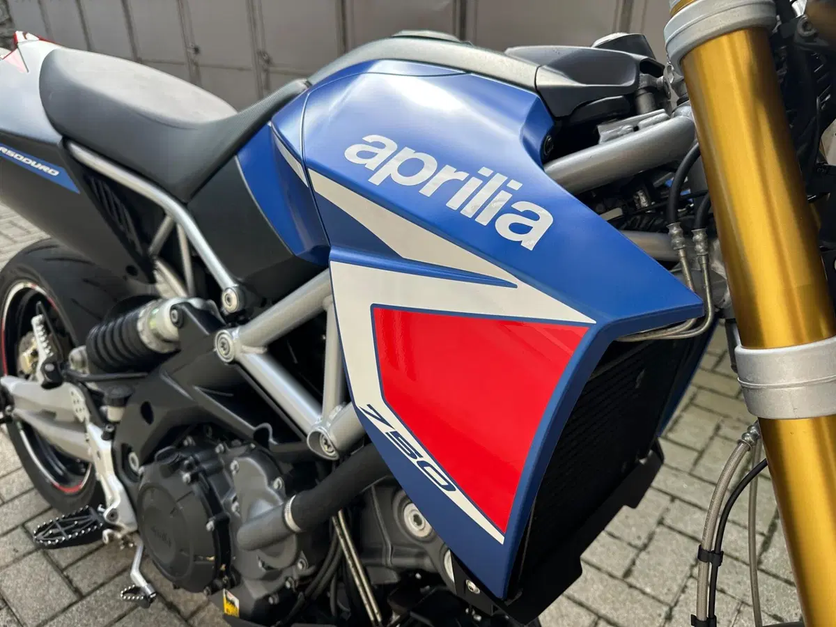 Aprilia Dorsoduro 750 ABS (2009 - 17) (7)