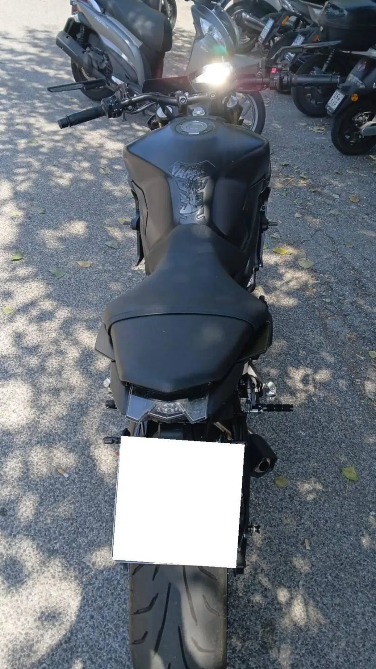 Yamaha MT-09 ABS (2016) (4)