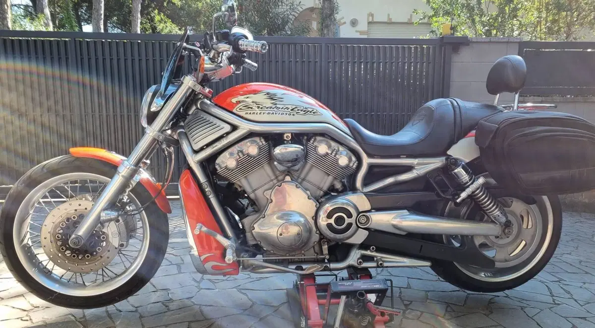 Harley-Davidson 1250 Night Rod Special (2007) - VRSCDX