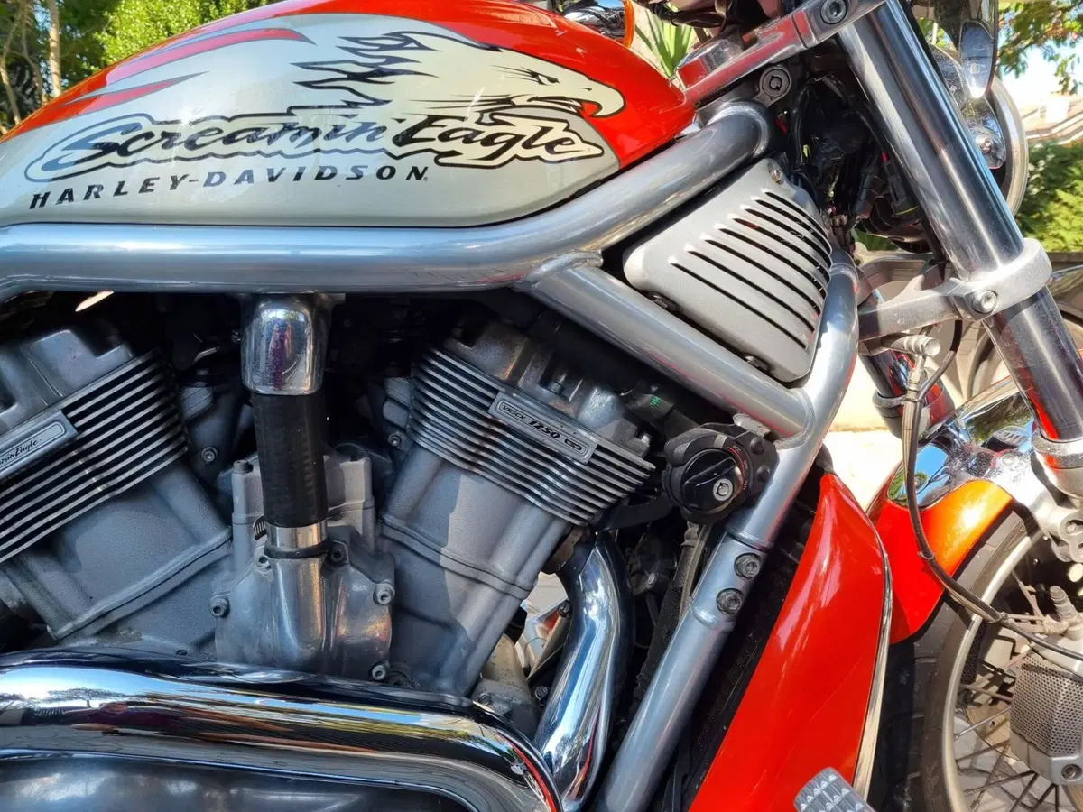 Harley-Davidson 1250 Night Rod Special (2007) - VRSCDX (6)