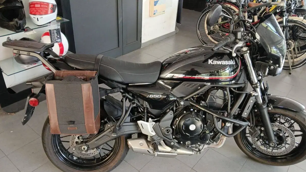 Kawasaki Z 650 (2021 - 24) (2)