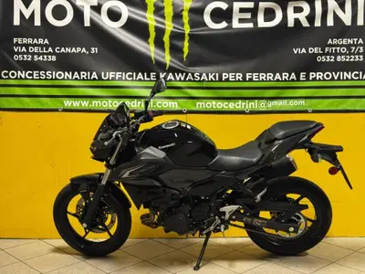 Kawasaki Z 500 (2024 - 26) usata